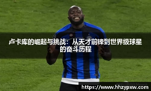 DB旗舰官网