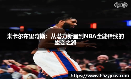 db旗舰厅官网