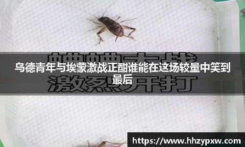 乌德青年与埃蒙激战正酣谁能在这场较量中笑到最后